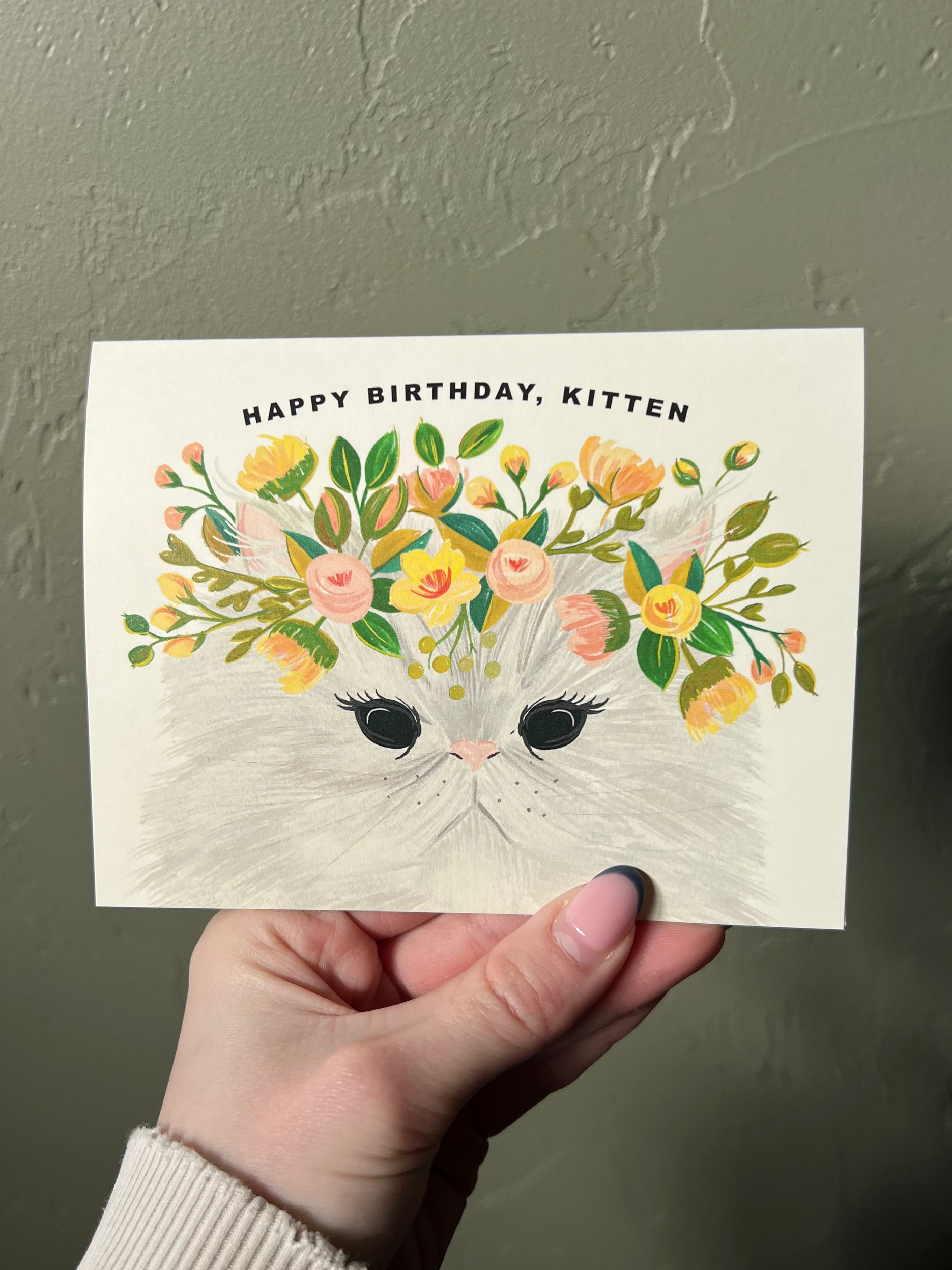 Happy Birthday Kitten Card