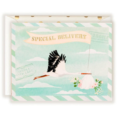 Special Delivery Baby Stork Card - The First Snow