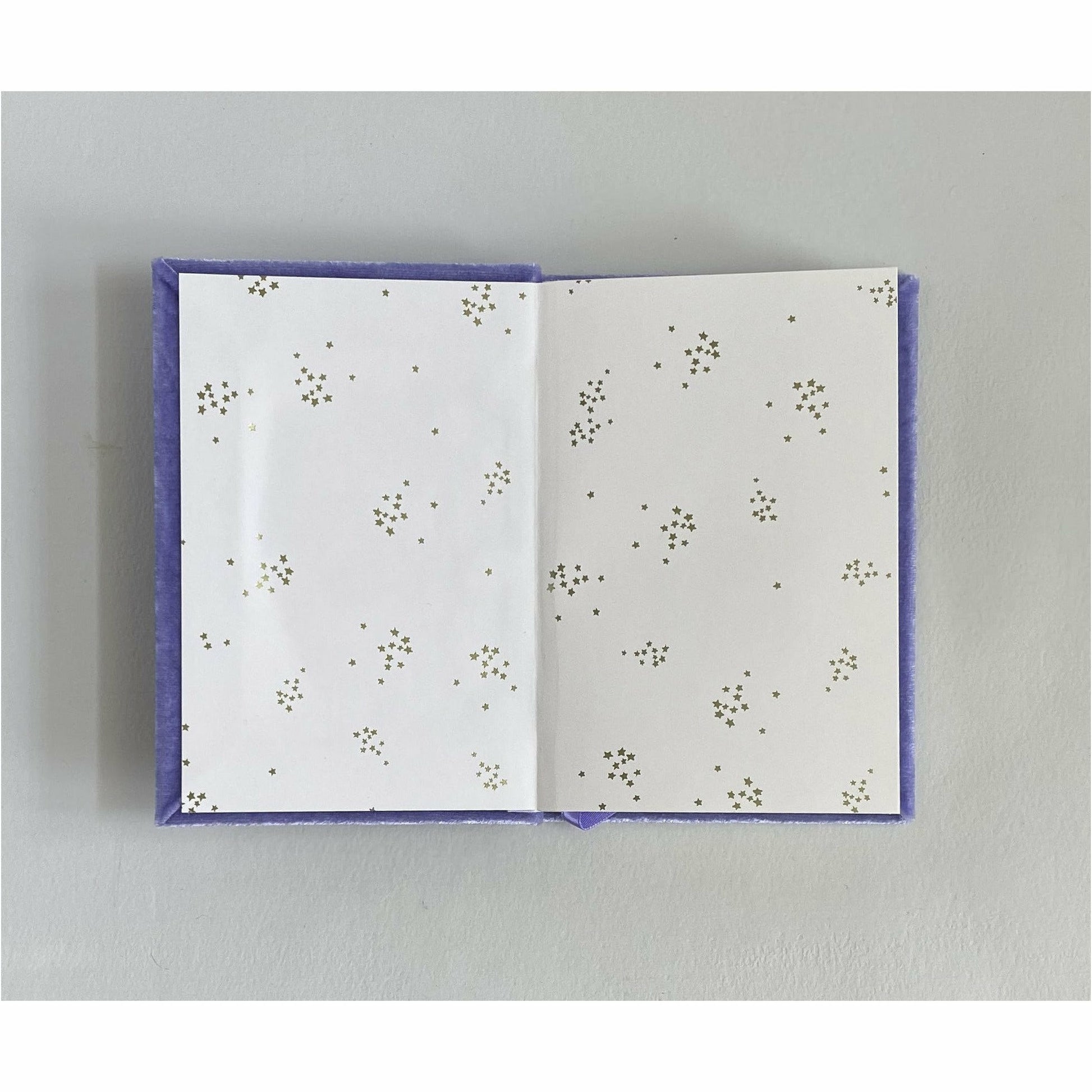 Rosa Petite Silk Velvet Monogram Book with ribbon bookmark - The First Snow