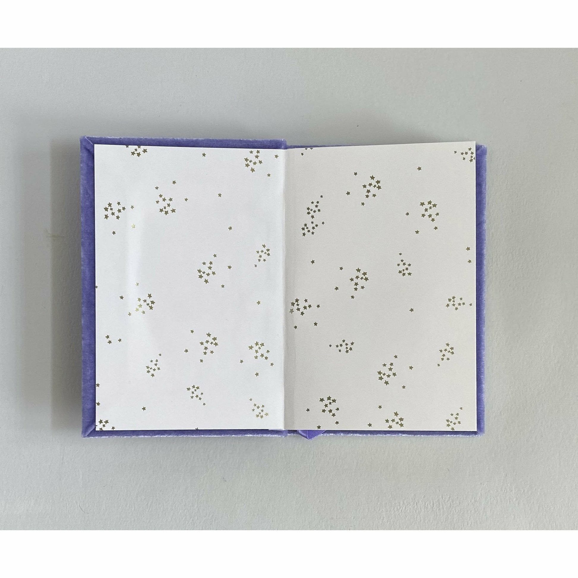 Handsome Petite Silk Velvet-Covered Vows Book for Weddings with Ribbon Bookmark - The First Snow